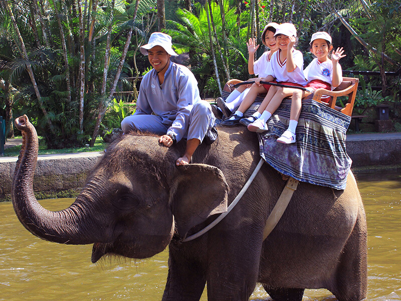 Bali safari park
