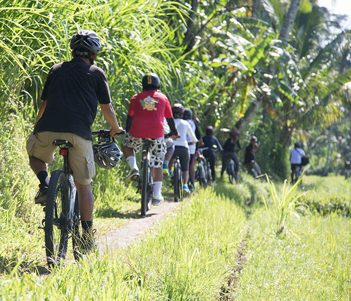 Mountain Cycling 3 - Cycling & Trekking Gallery - Mason Adventures (Bali Adventure Tours)