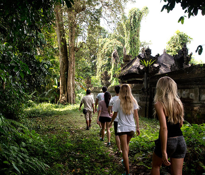 Tropical Trekking 1 - Cycling & Trekking Gallery - Mason Adventures (Bali Adventure Tours)