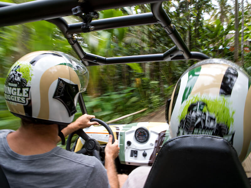 jungle buggy ride